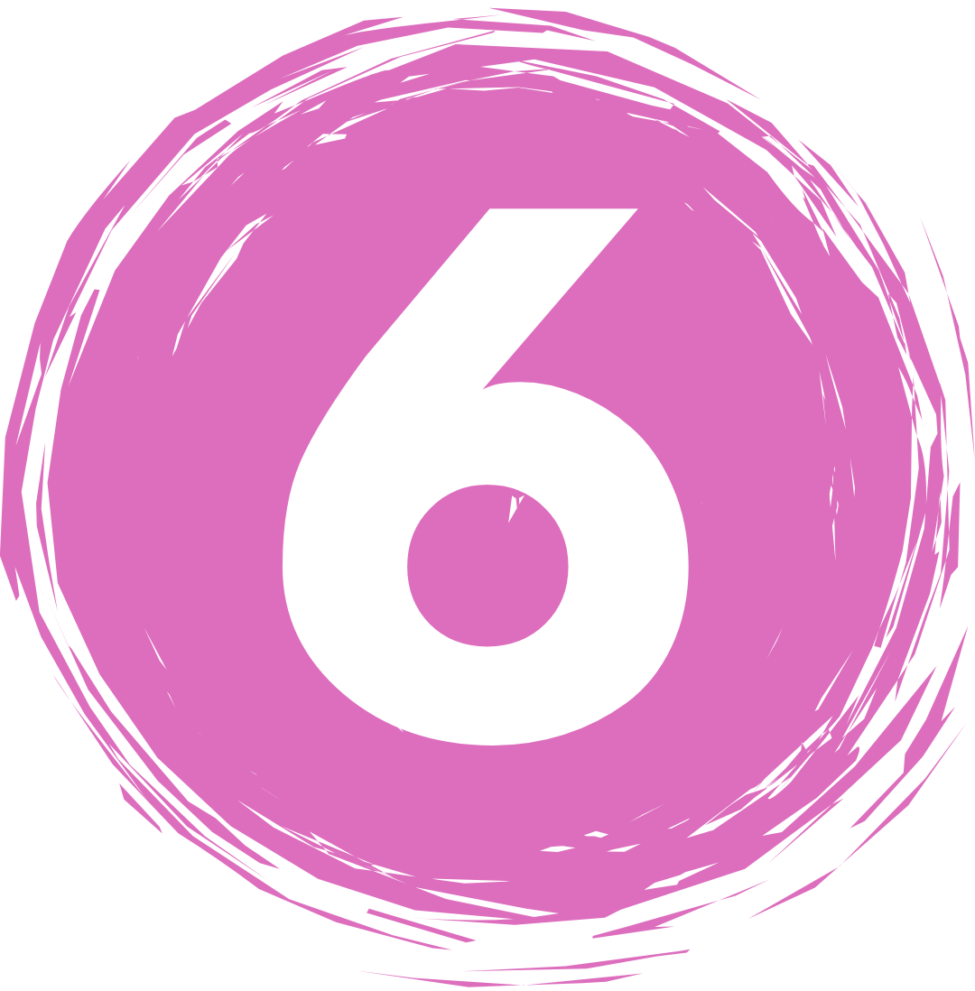 6 icon