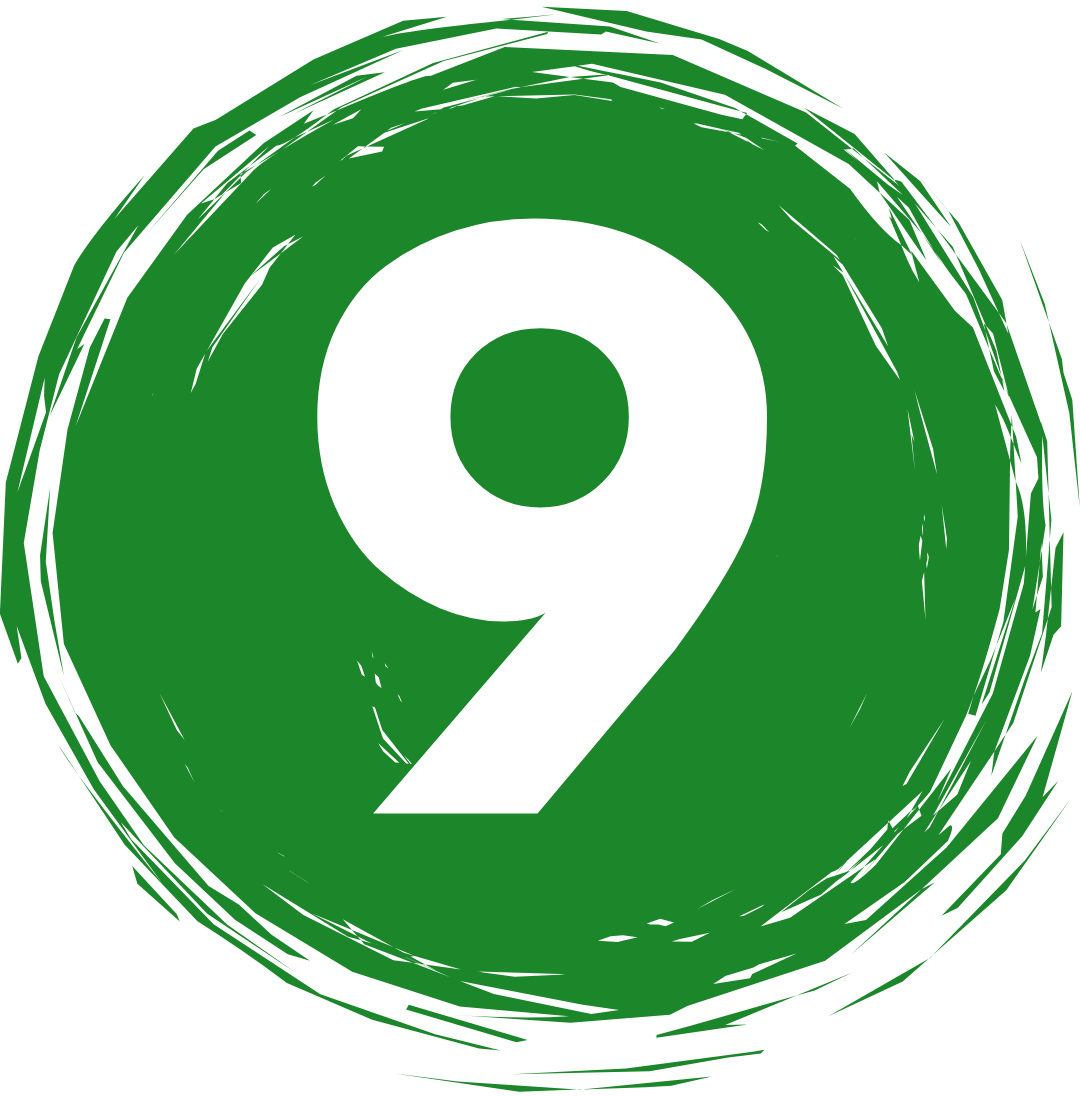 9 icon