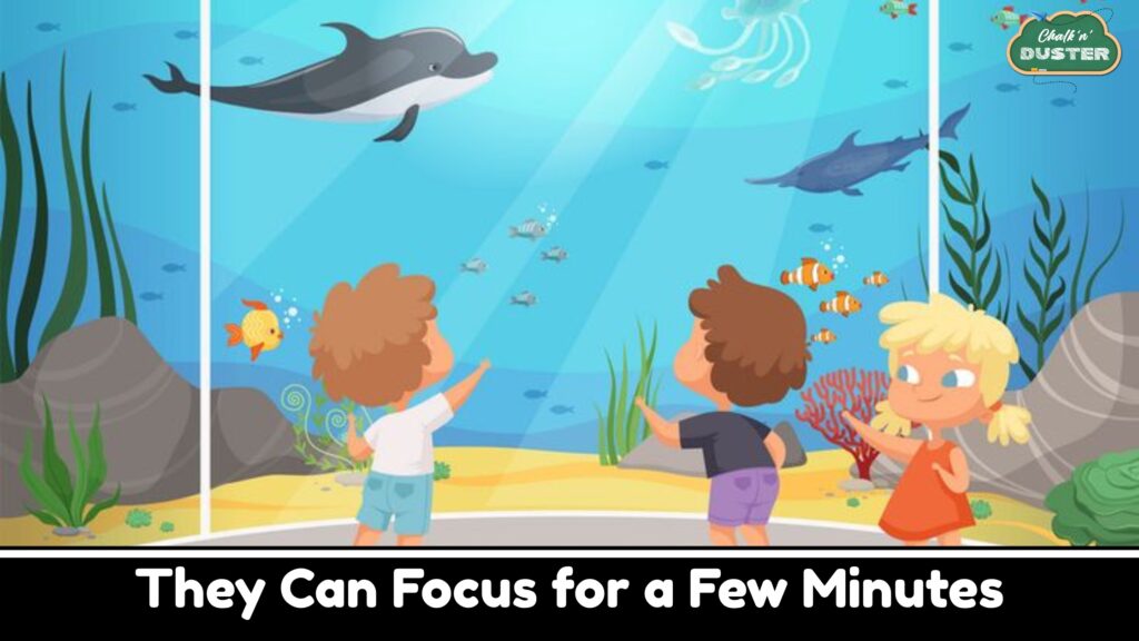 They Can Focus for a Few Minutes